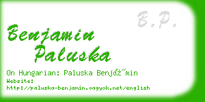 benjamin paluska business card